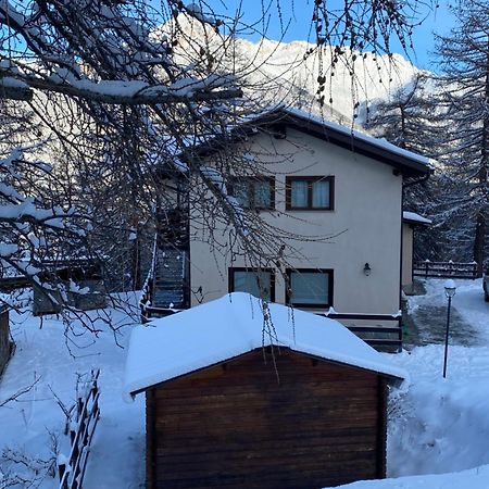 Green Mountain Lodge Oulx المظهر الخارجي الصورة
