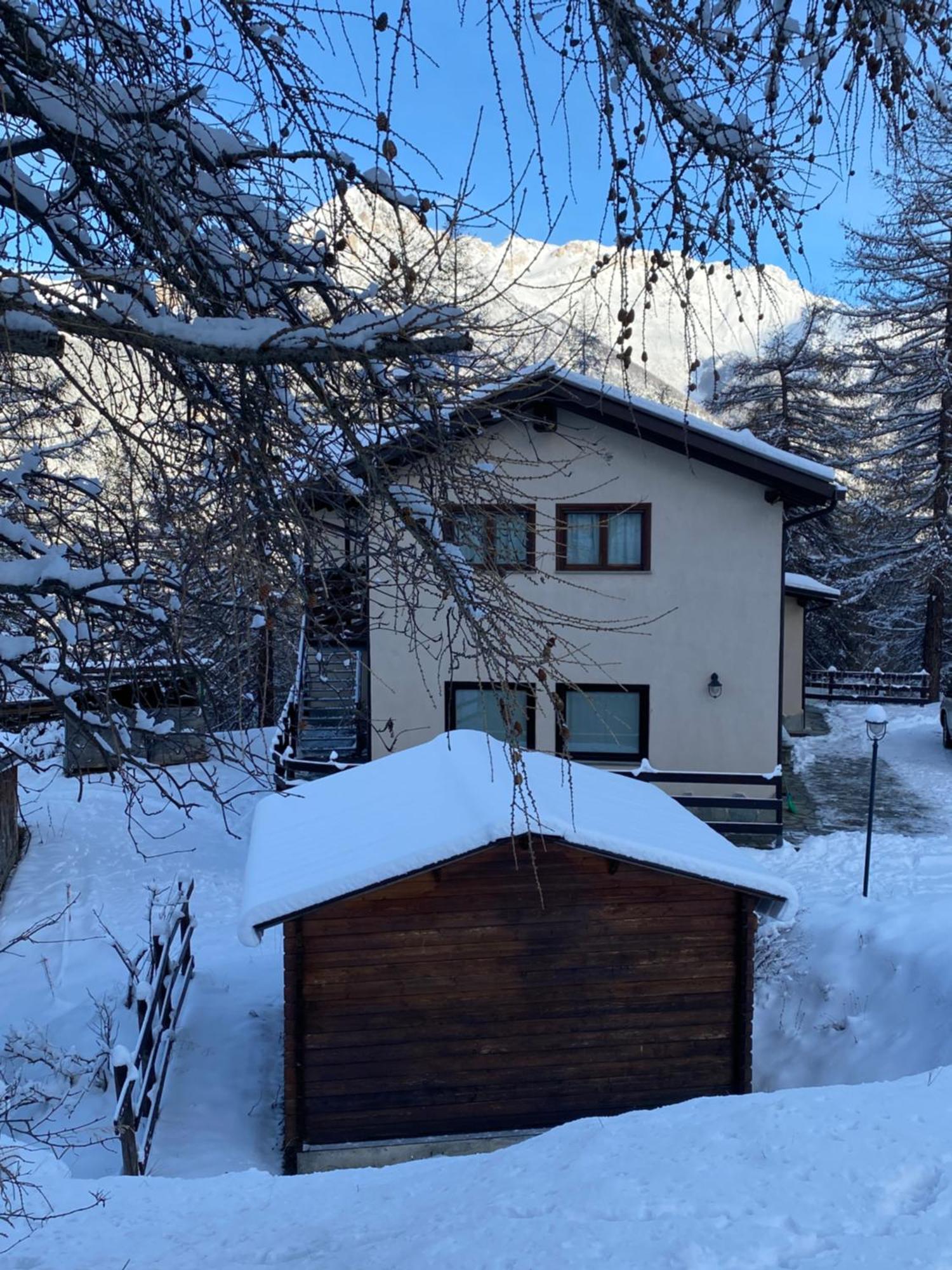 Green Mountain Lodge Oulx المظهر الخارجي الصورة